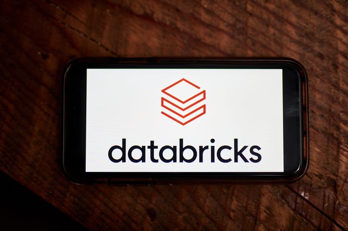 Databricks, 2024